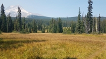Elk Meadow  hours east of Portland Oregon With Mt Hood in the background 