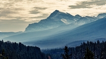 Emerging Mountain across a forest of layers  Morants Curve Alberta   X   OC pawel_migdal_