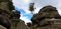 England is more than just fields and castles Brimham rocks North Yorkshire 