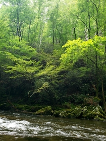 Enjoying the creek running through Smoky Mountain National Park 