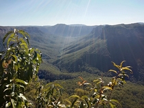 Evans Lookout Blue Mountains National Park NSW Australia 