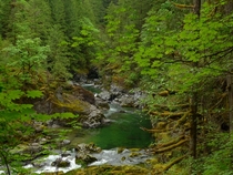 Even the water is green - Little North Santiam River OR 