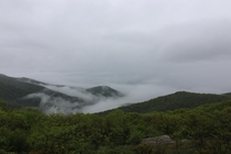Even though it was foggy Shenandoah National Park was awesome 