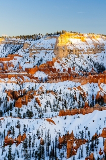 Evening light in Bryce Canyon UT 
