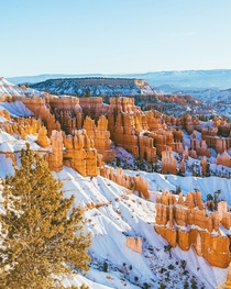 Experiencing Bryce Canyon in the winter was completely worth the freezing temperatures 