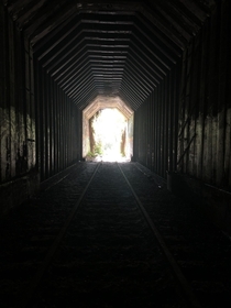 Explored an old abandoned train tunnel today Probably went for a good quarter mile Inside was full of red legged frogs