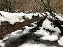 Exploring little creeks in the snow