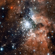 Extreme star cluster bursts into life in the star-forming region NGC  