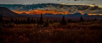 Fading light - Denali National Park Alaska 