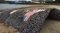 Falcon  rocket is found in the UK shores 