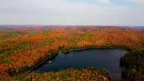 Fall afternoon in Algonquin Provincial Park Ontario 