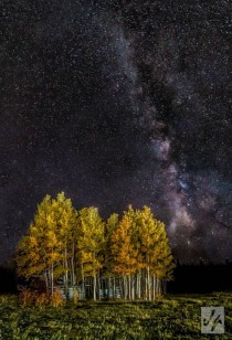 Fall Aspens In The Eye Of The Milkyway 