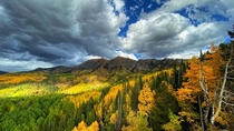 Fall at Kebler Pass CO featuring the largest aspen stand in the US 