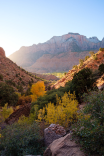 Fall at Zion National Park 