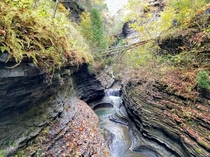 Fall colors along the Gorge Trail at Watkins Glen State Park 