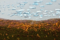 Fall colors and icebergs at the Knik Glacier in Alaska 
