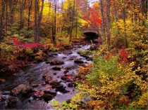 Fall colors at a stream near Milford New Hampshire 