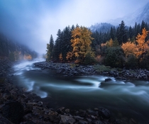 Fall colors at dusk during the start of a snowstorm in Leavenworth Washington OC  ross_schram