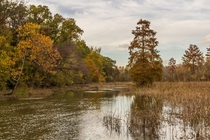 Fall colors at Theodore Roosevelt Island in Washington DC 