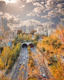 Fall colors in Tehran Iran