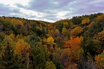 Fall Foliage Acadia National Park 