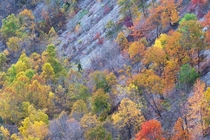 Fall foliage in Letchworth State Park in New York 