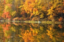 Fall foliage reflecting in Silver Mine Lake along Seven Lakes Drive Harriman State Park NY 