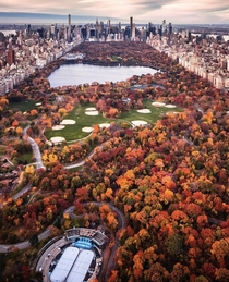 Fall in Central Park New York