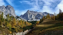 Fall in Dachstein Area Austria  x