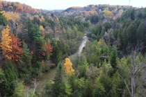 Fall in Ontario Canada
