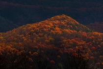 Fall in the Blue Ridge Mountains in North Carolina 