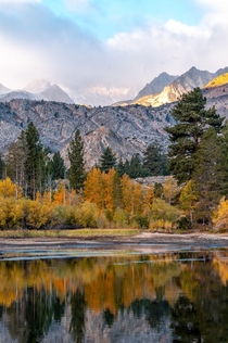 Fall in the Eastern Sierras is a magical time 