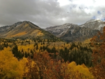 Fall in Utah is beautiful My phone doesnt do it justice Sundance UT 