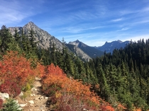 Fall in Washington State 