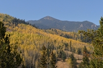 Fall is in full swing in the Colorado Rocky Mountains OC