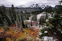 Fall meets Winter in Mount Rainier National Park WA 