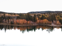 Fall reflection Utah 