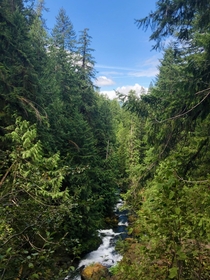 Falls Creek near Carson WA 