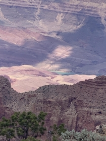 Family Vacation at the Grand Canyon-South Rim wview of The Colorado River  x