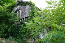 Farmhouse being consumed by nature Mount Gilead Ohio 