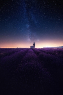 Feeling the smell of lavenders while looking at the stars