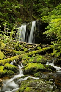 Fern Falls Idaho Panhandle National Forests 