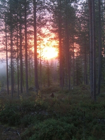 Few years ago at Karhunkierros Trail Finland 