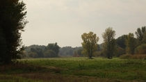 Field next to Danube river  