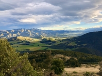 Fields of Kaikoura New Zealand 