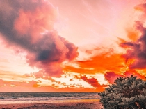 Fiery Beach Sky - HonoluluHI