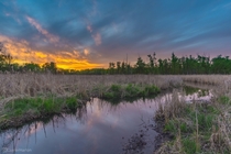 Fiery sunset over a calm Minnesota wetland 