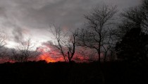 Fiery Sunset Over Treetops Cape Cod 
