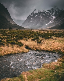 Fijordland National Park New Zealand 