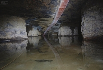 Finding The Bakunawa Within A Flooded Limestone Mine 